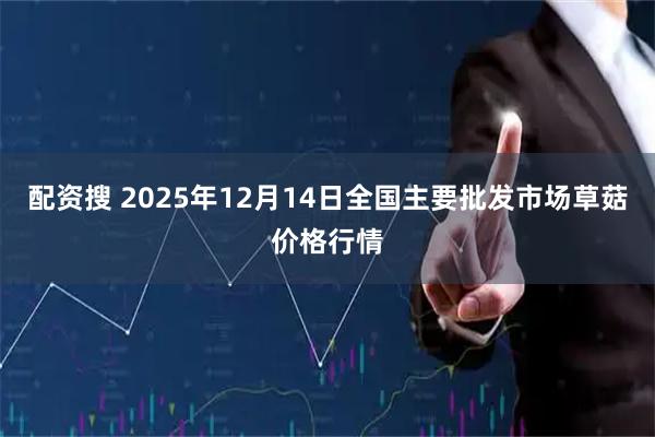 配资搜 2025年12月14日全国主要批发市场草菇价格行情