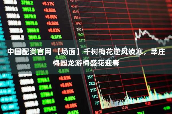中国配资官网 【场面】千树梅花逆风凌寒，莘庄梅园龙游梅盛花迎春